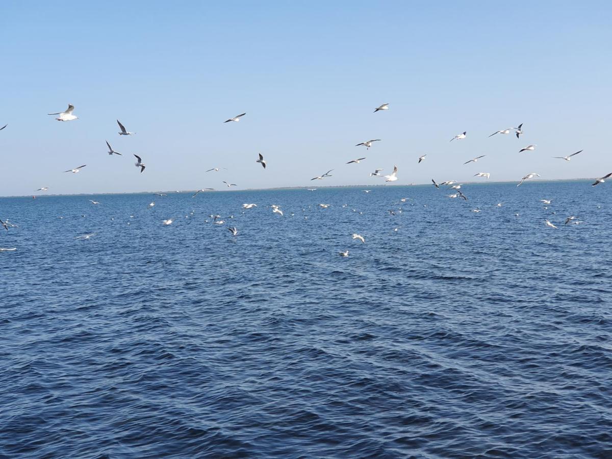 Ayoub -for Families Only- * Nador